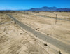 RESIDENTIAL LOT IN A QUIET AREA WITH A BEAUTIFUL SCENERY!! LOW MONTHLY PAYMENTS OF  $ 225.00  1038 Chile Ave., Salton City, CA 92274 APN: 015-452-018-000