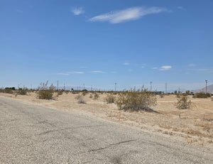 GREAT RESIDENTIAL LOT NEAR HIGH SCHOOL!! LOW MONTHLY PAYMENTS OF $225.00   2333 Shore King Ave., Salton City, CA 92275 APN: 012-093-003-000