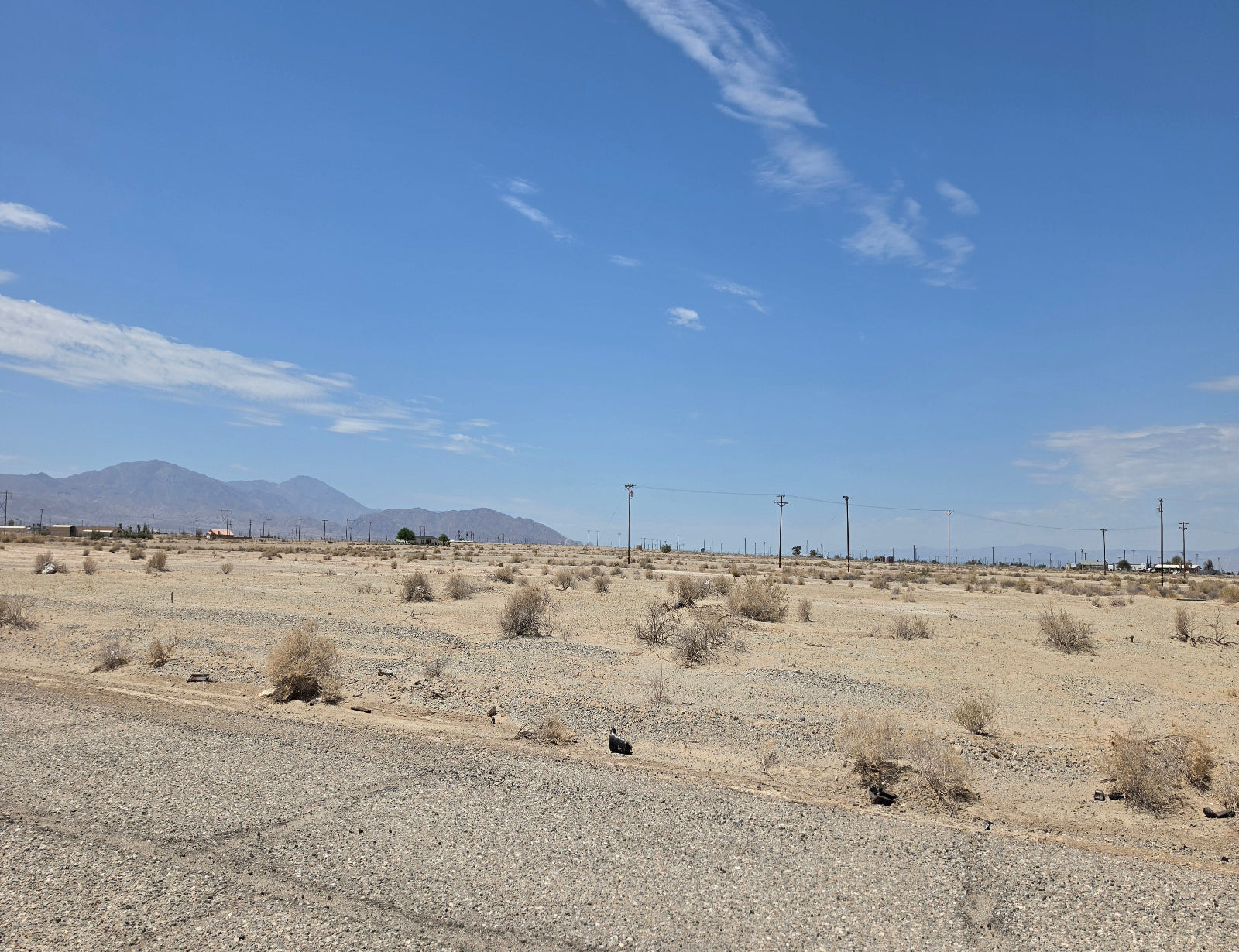 RESIDENTIAL LOT IN A QUIET AREA IN SALTON CITY!! LOW MONTHLY PAYMENTS OF $200.00  1008 Clover Leaf Dr., Salton City, CA 92274 APN: 016-391-011-000