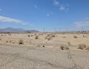 RESIDENTIAL LOT IN A QUIET AREA IN SALTON CITY!! LOW MONTHLY PAYMENTS OF $200.00  1008 Clover Leaf Dr., Salton City, CA 92274 APN: 016-391-011-000