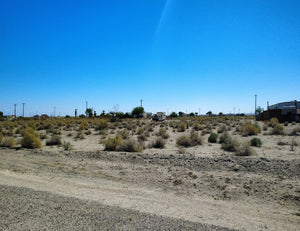 PRE-SALE STARTS 10/20/25!! RESIDENTIAL LOT WITH BEAUTIFUL SCENERY OF THE LAKE AND MOUNTAINS!! LOW MONTHLY PAYMENTS OF $200.00  791 Kahoolawe Ave., Salton City, CA 92274 APN: 017-474-002-000 - Get Land Today