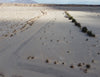 OCOTILLO WELLS!! BEAUTIFUL OFF-ROADING DELIGHT!! LOW MONTHLY PAYMENTS OF $200.00 1554 Veronica Ave., Salton City, CA 92275  APN: 007-892-009-000