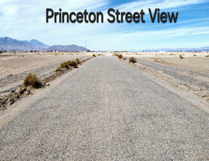 NEW!! RESIDENTIAL LOT NEAR COMMERCIAL AREA RIGHT OFF HIGHWAY!! LOW MONTHLY PAYMENTS OF $200.00  1976 Princeton Ave., Salton City, CA 92275 APN: 017-043-013-000