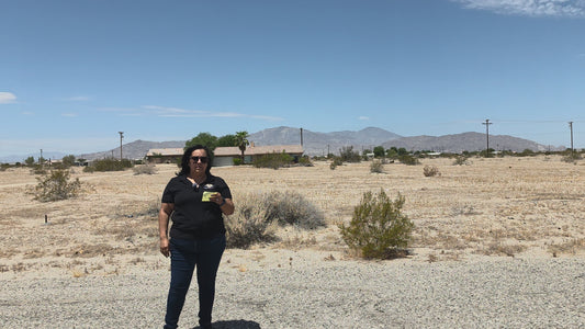 GREAT RESIDENTIAL LOT NEAR HIGH SCHOOL!! LOW MONTHLY PAYMENTS OF $225.00   2333 Shore King Ave., Salton City, CA 92275 APN: 012-093-003-000