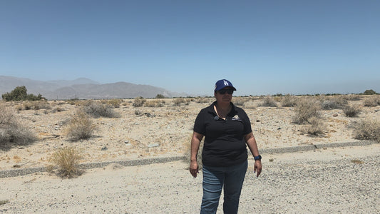 RESIDENTIAL COMBO LOCATED IN A VERY QUIET AREA IN SALTON CITY!! LOW MONTHLY PAYMENTS OF $400.00  2681 & 2679 Ladi Ave., Salton City, CA 92275 APN: 009-212-006-000 & 009-212-007-000